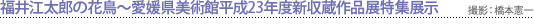 福井江太郎の花鳥～愛媛県美術館平成23年度新収蔵作品展特集展示　撮影：橋本憲一